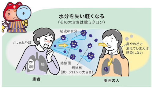 結核の感染ルート