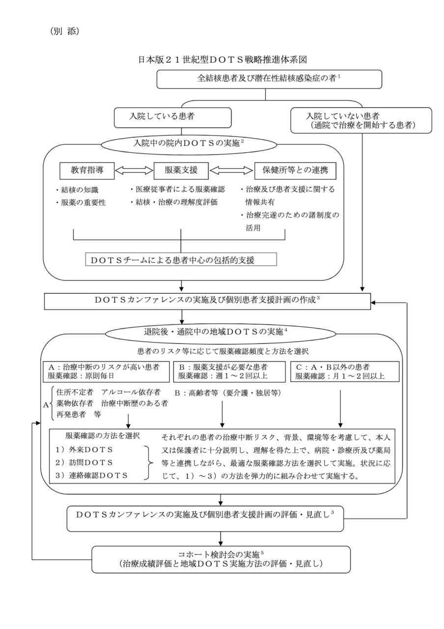 日本版DOTS